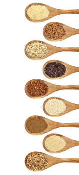 quinoa-kaufen